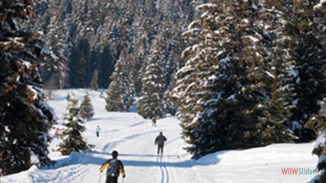 ski de fond vercors